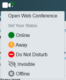 web-conf-status-icon