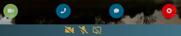 web-conf-answer-call